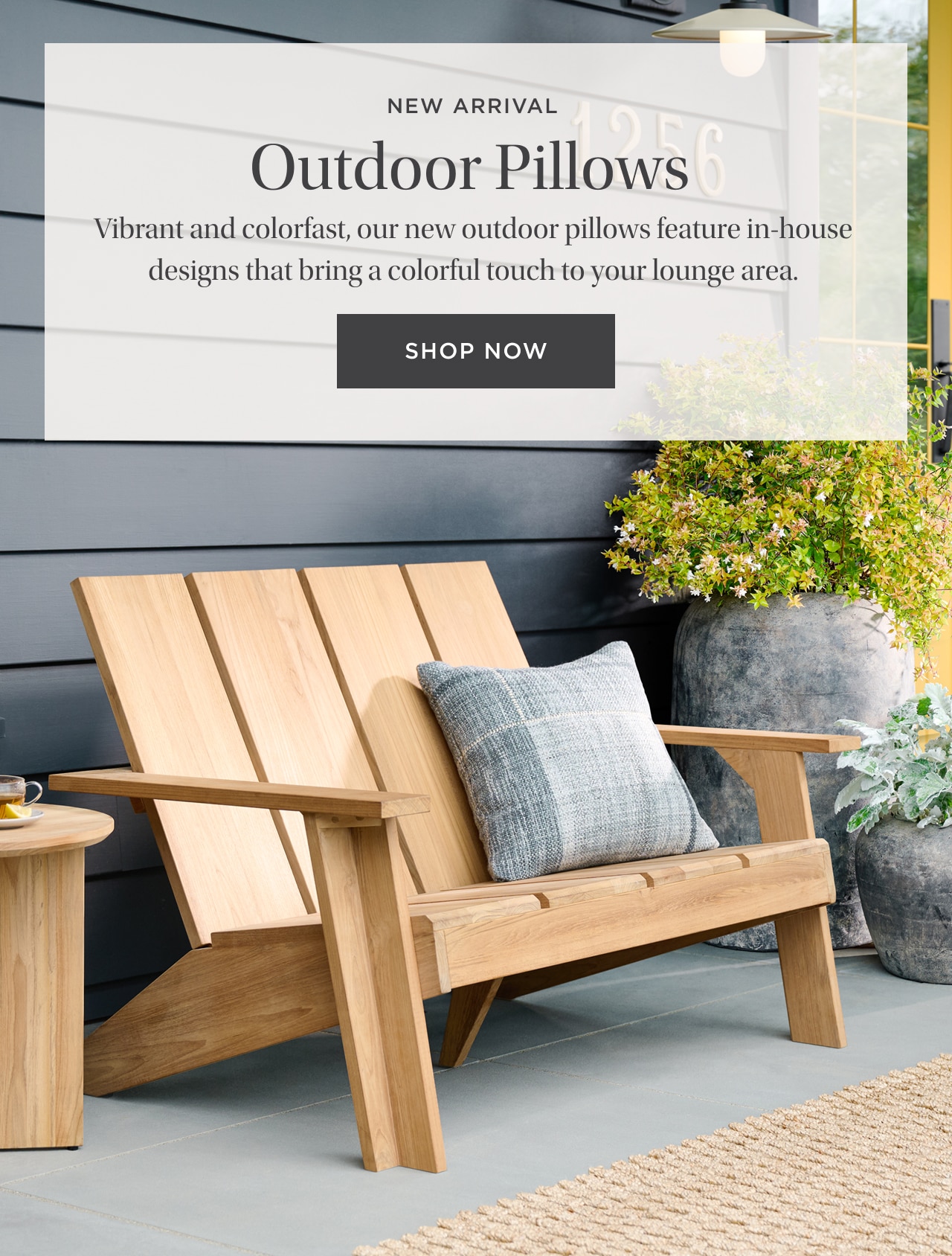 Shop outdoor pillows