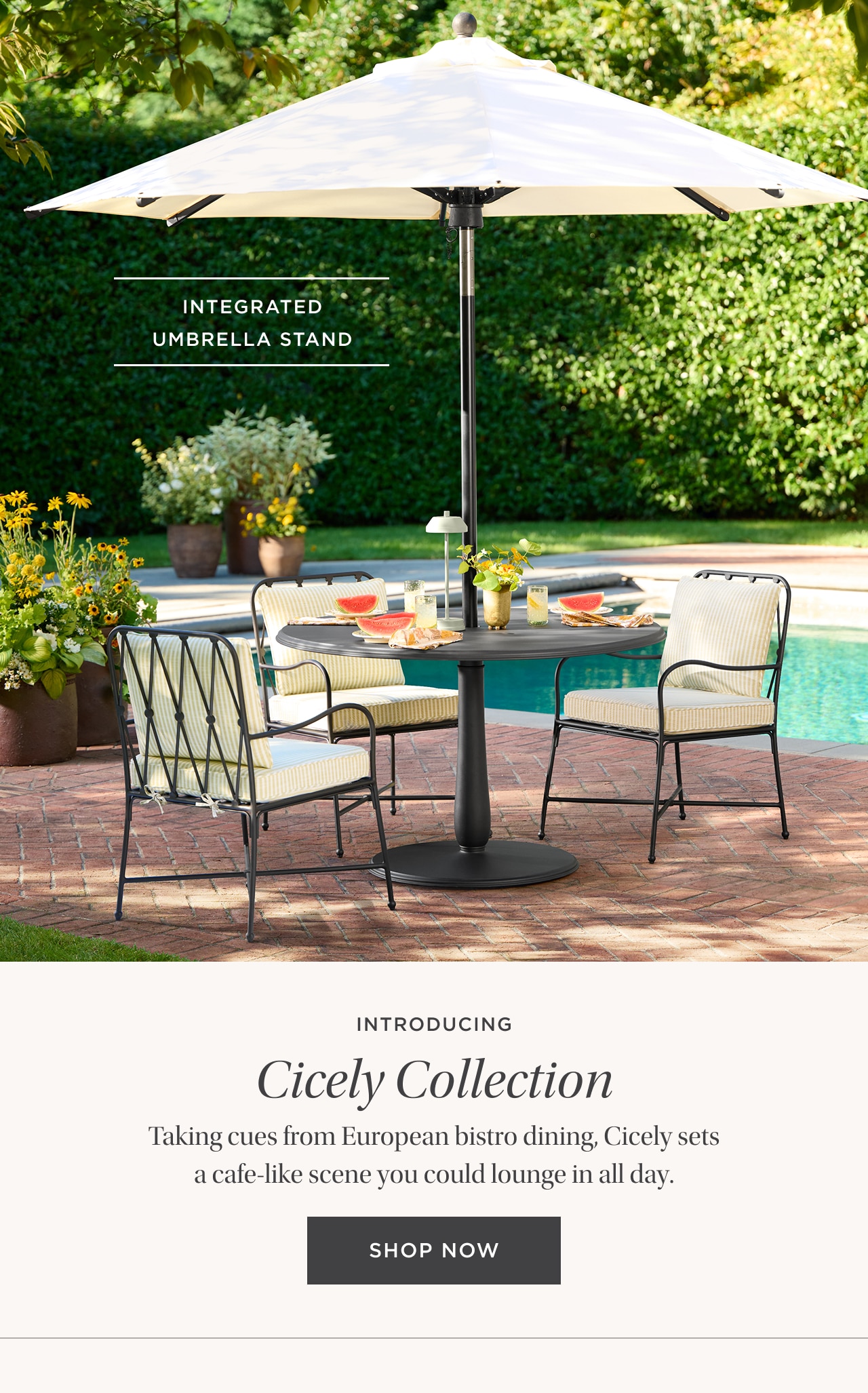 Cicely Collection