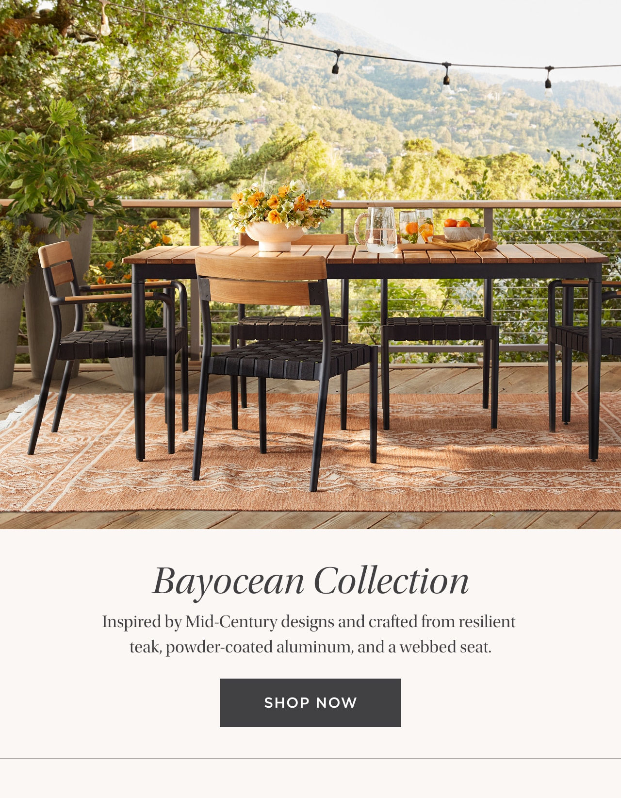 Bayocean Collection