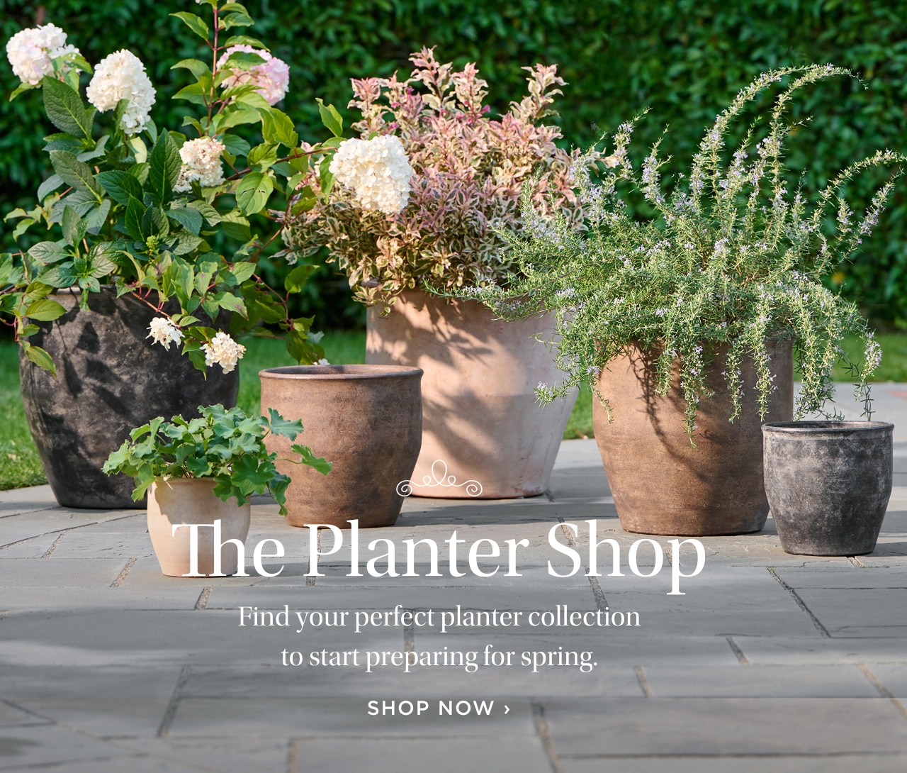 The Planter Shop