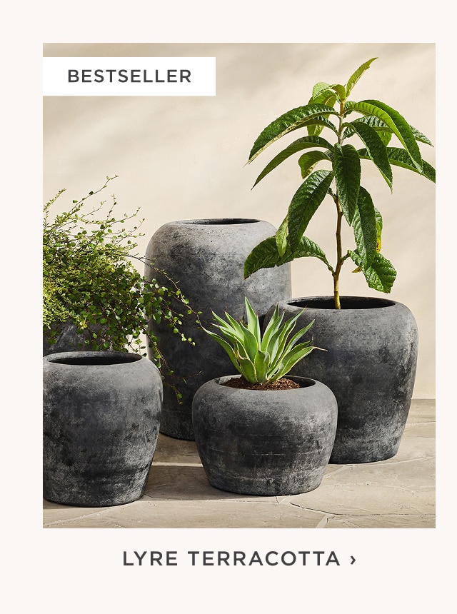 Lyre Terracotta Planters