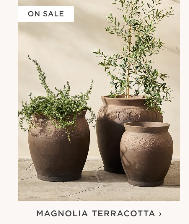 Magnolia Terracotta Planters