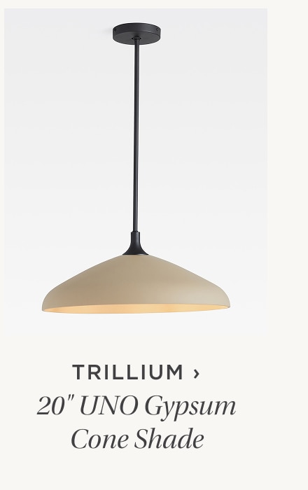 trillium-20in-pendant